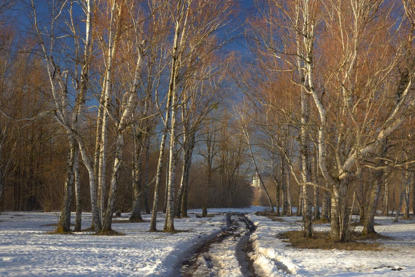 Весеннее утро