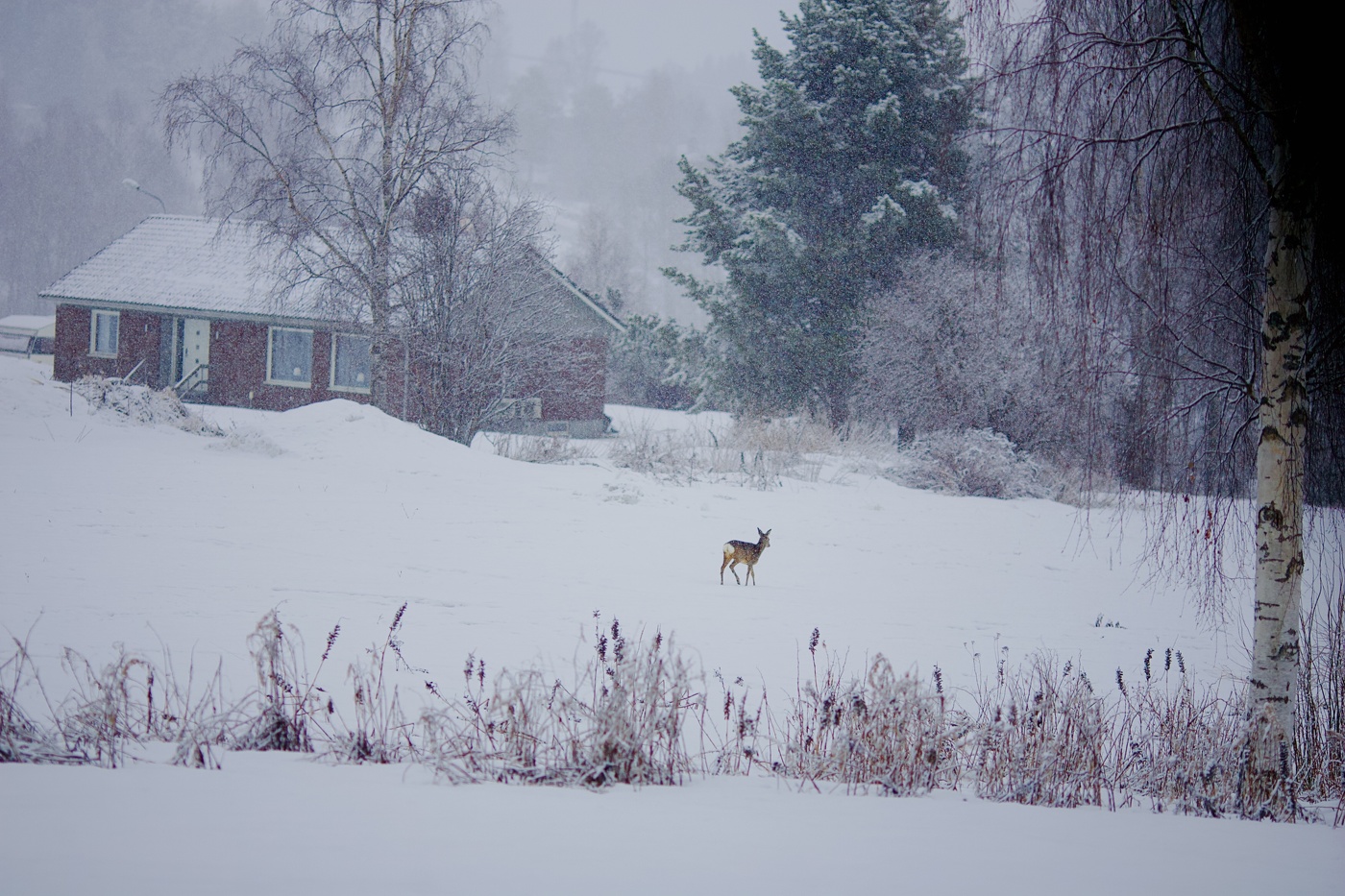 мартовское настроение