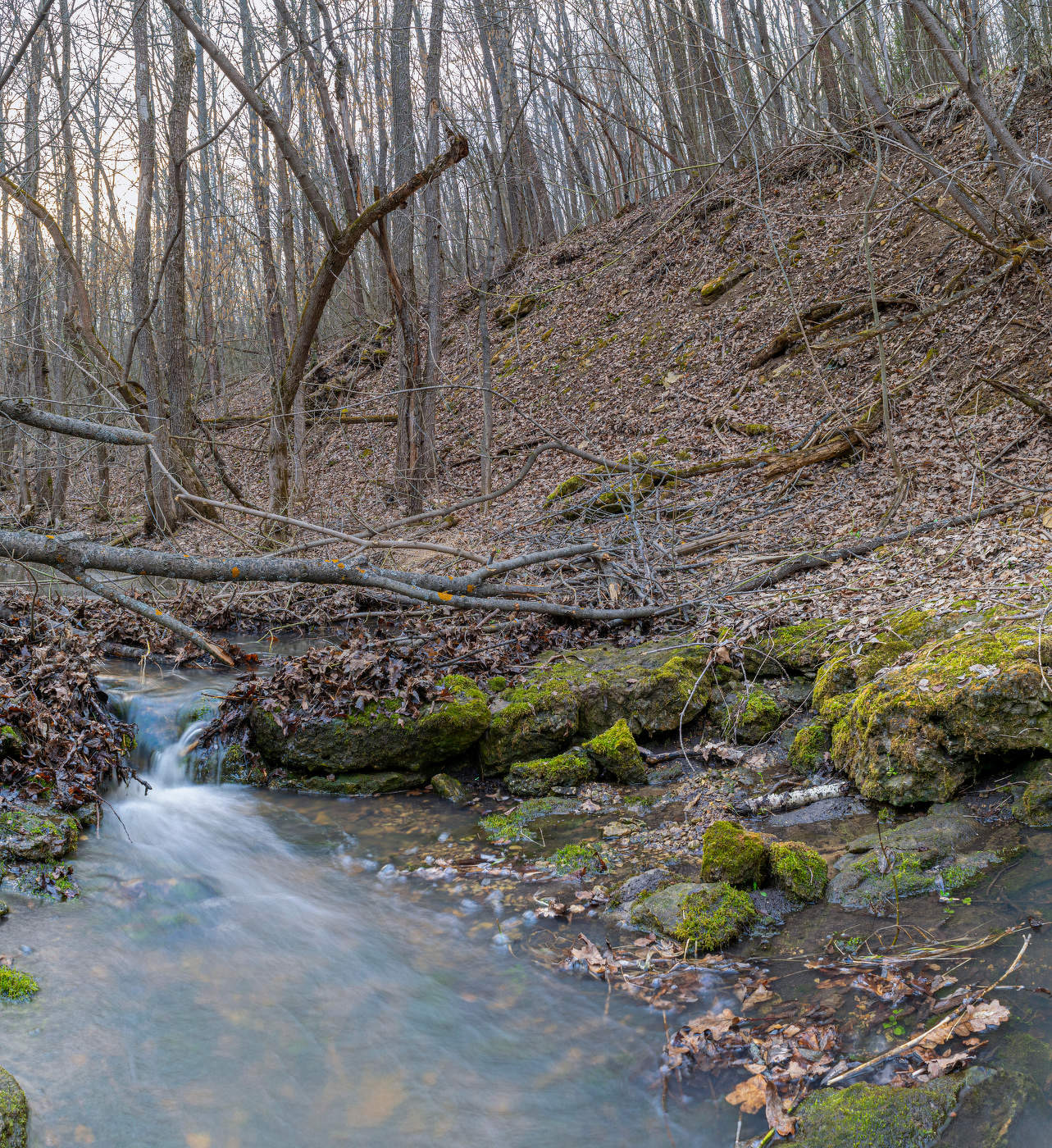 весна в лощине