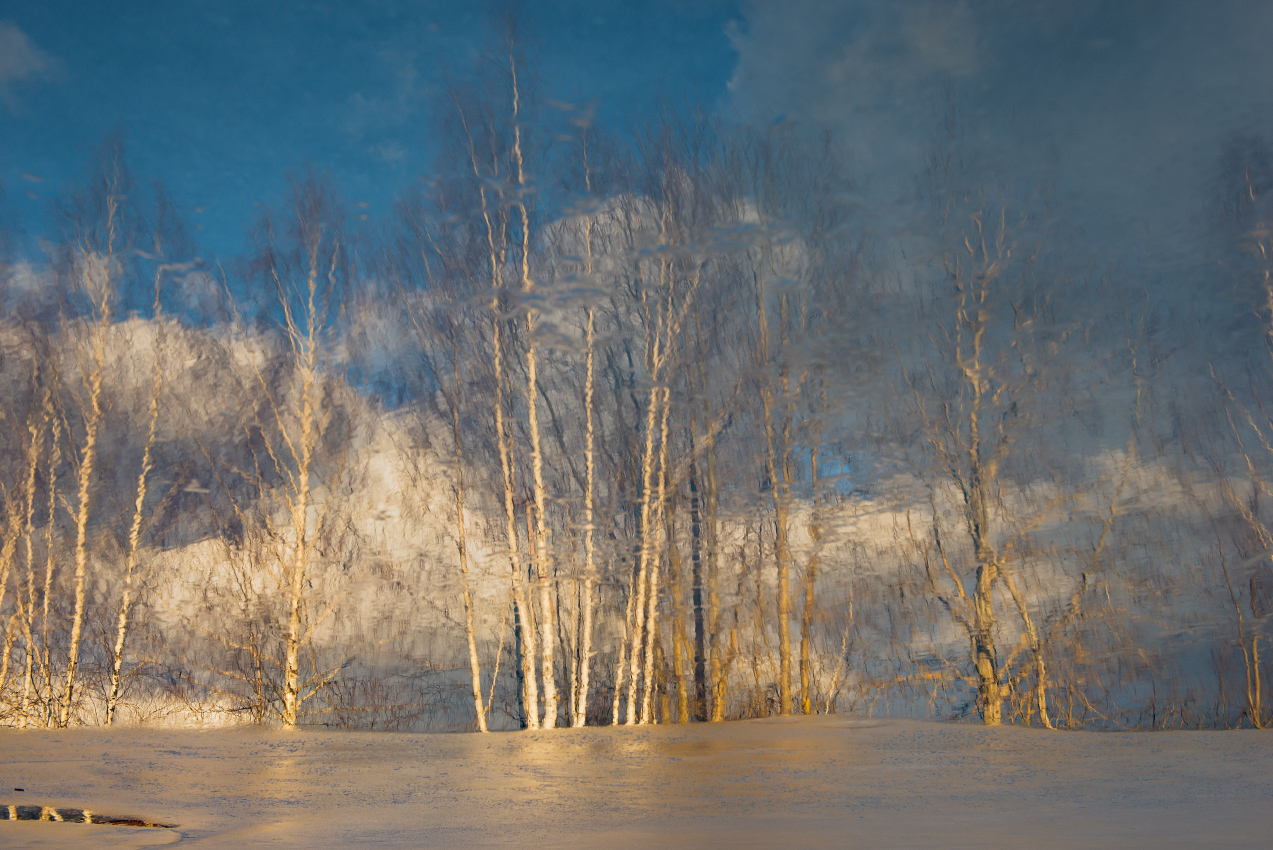 Весенний мотив