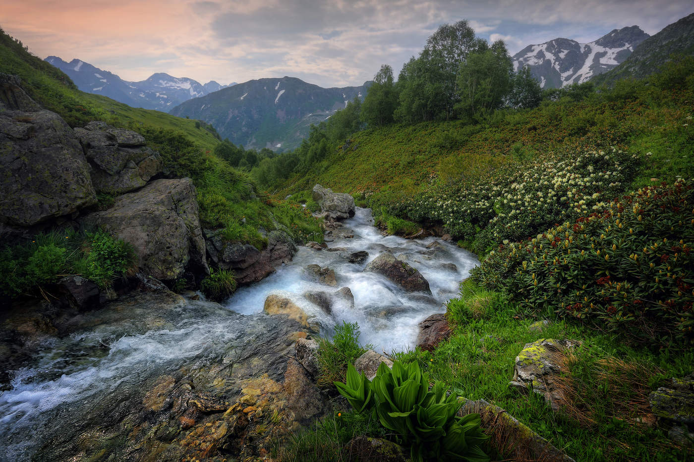 Там, где растет рододендрон..