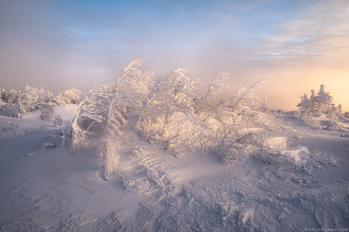 "Снежные кусты Таганая"