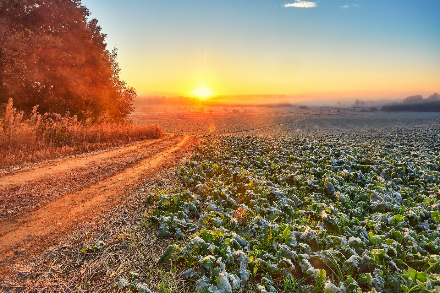 Осенняя расветная