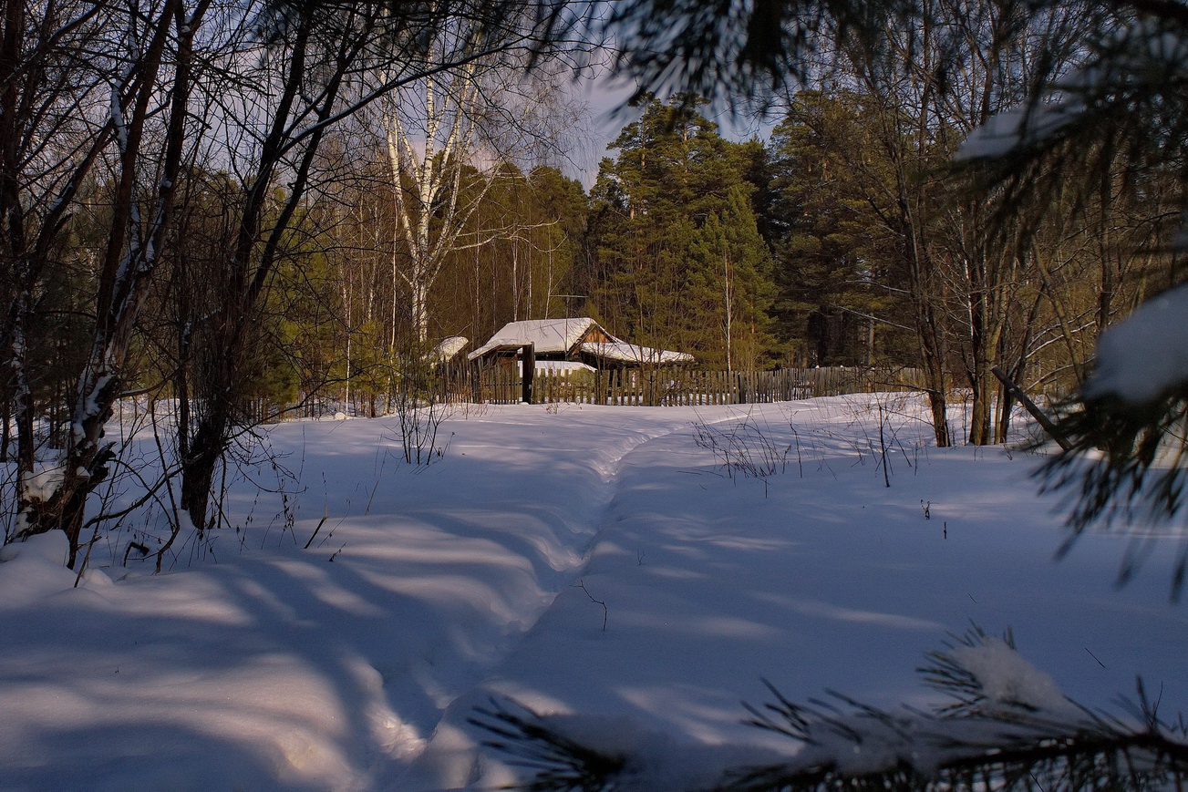Домик в лесу.