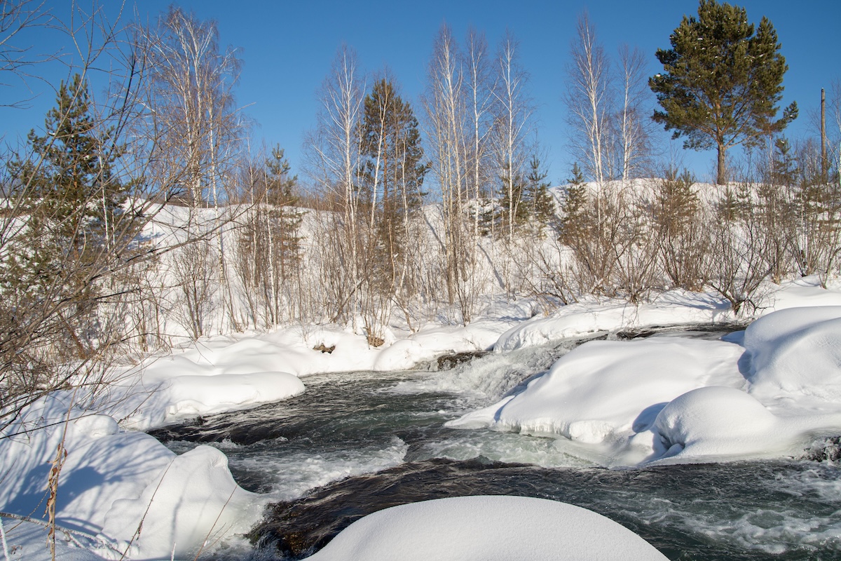 И мороз не помеха