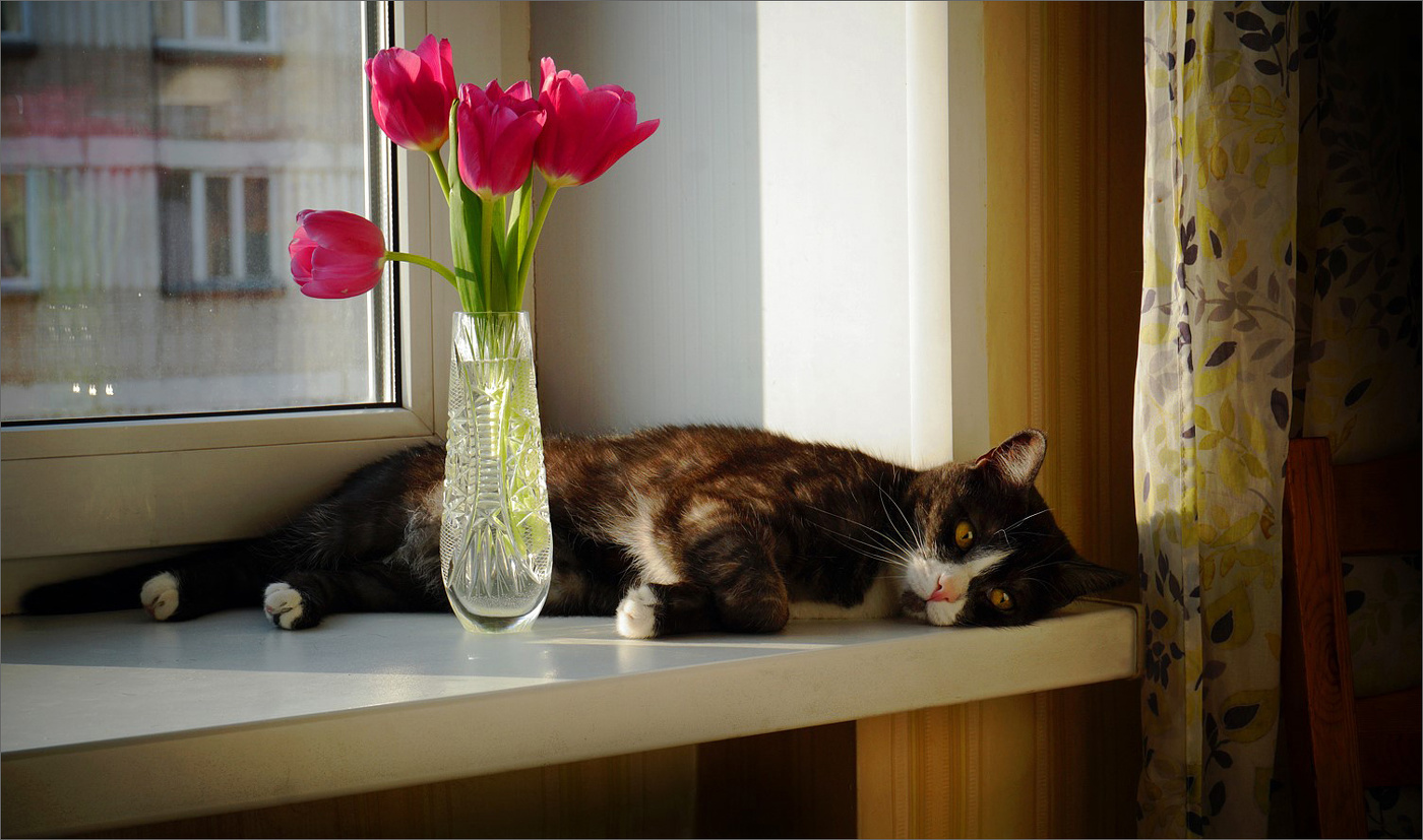 Весенние думы