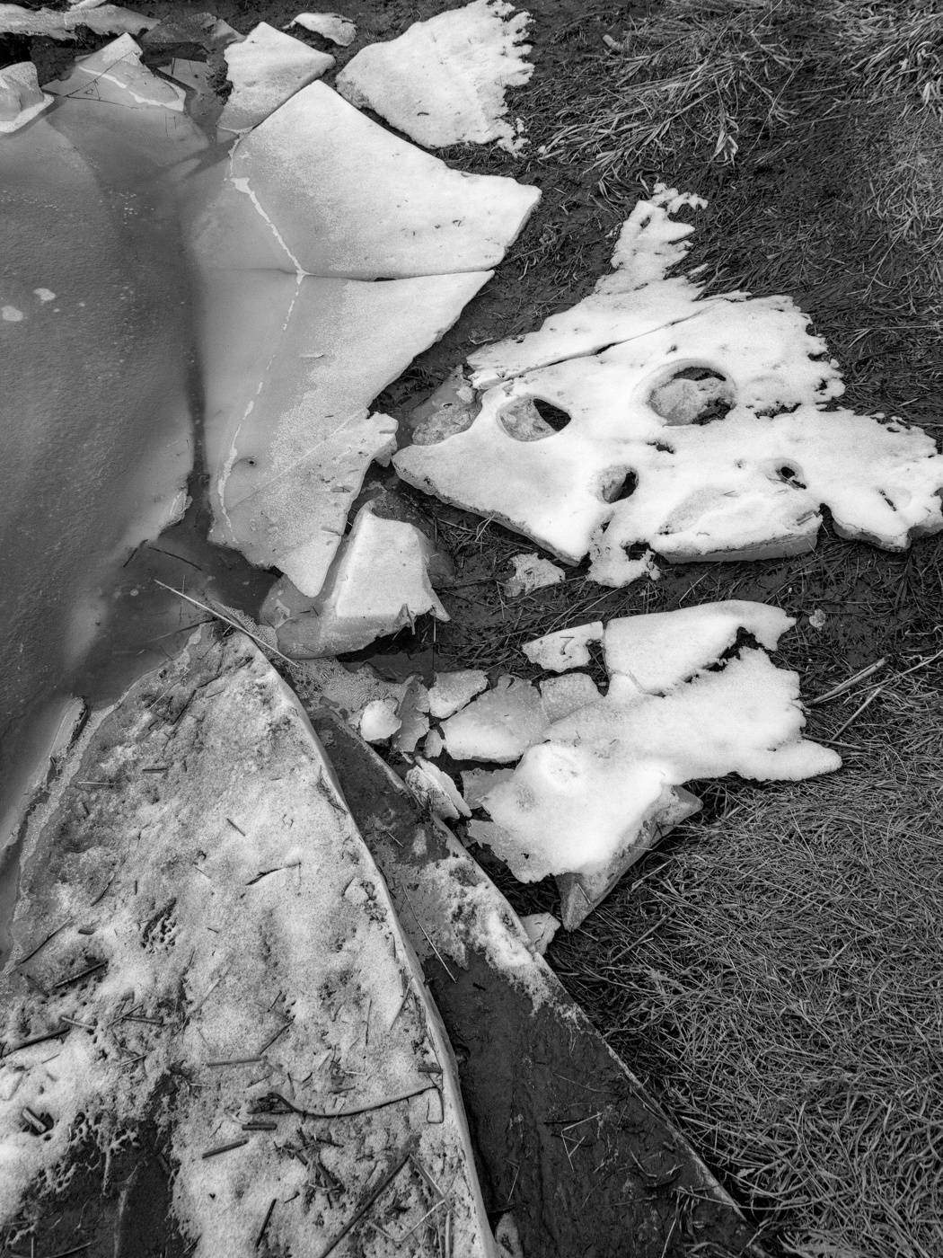 Жизнь вокруг