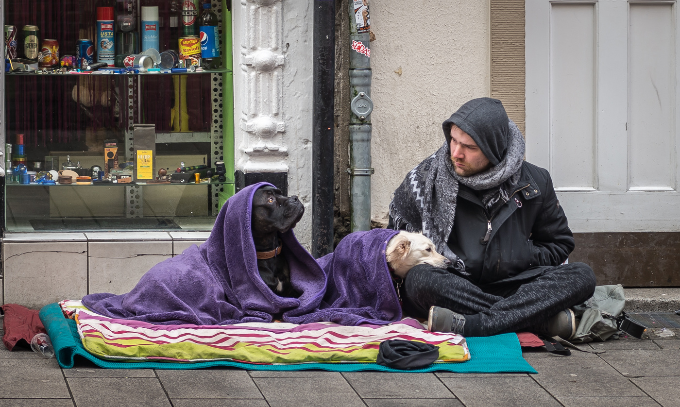 Вот такая работа, хозяина кормить