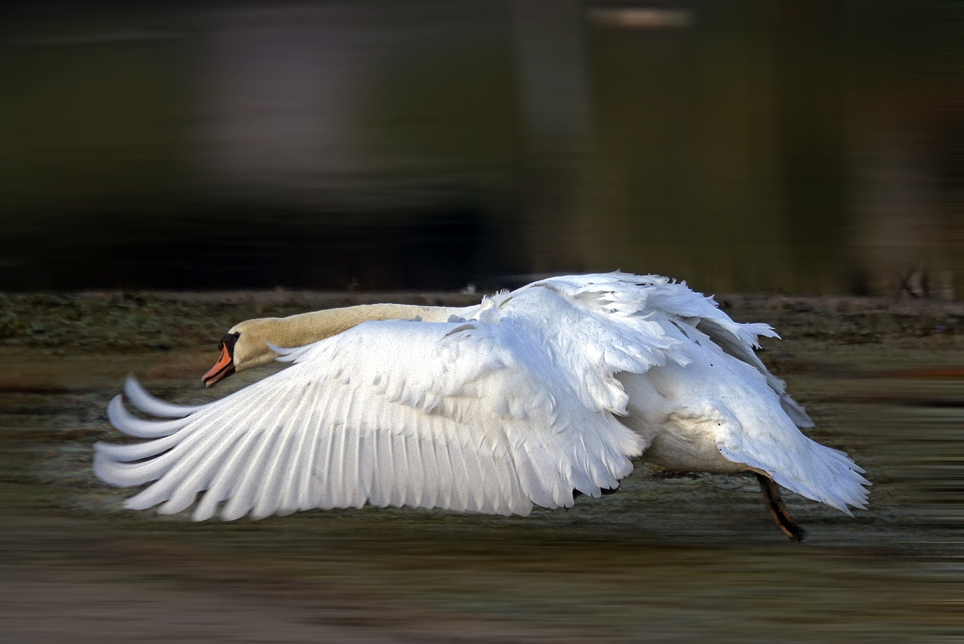 Бег по берегу