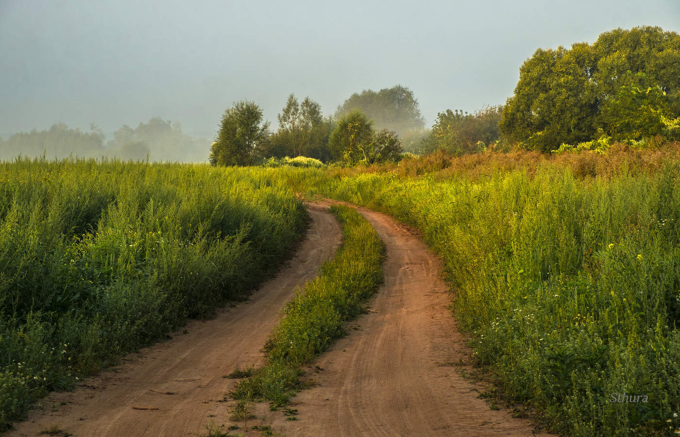 Дорога в поле.