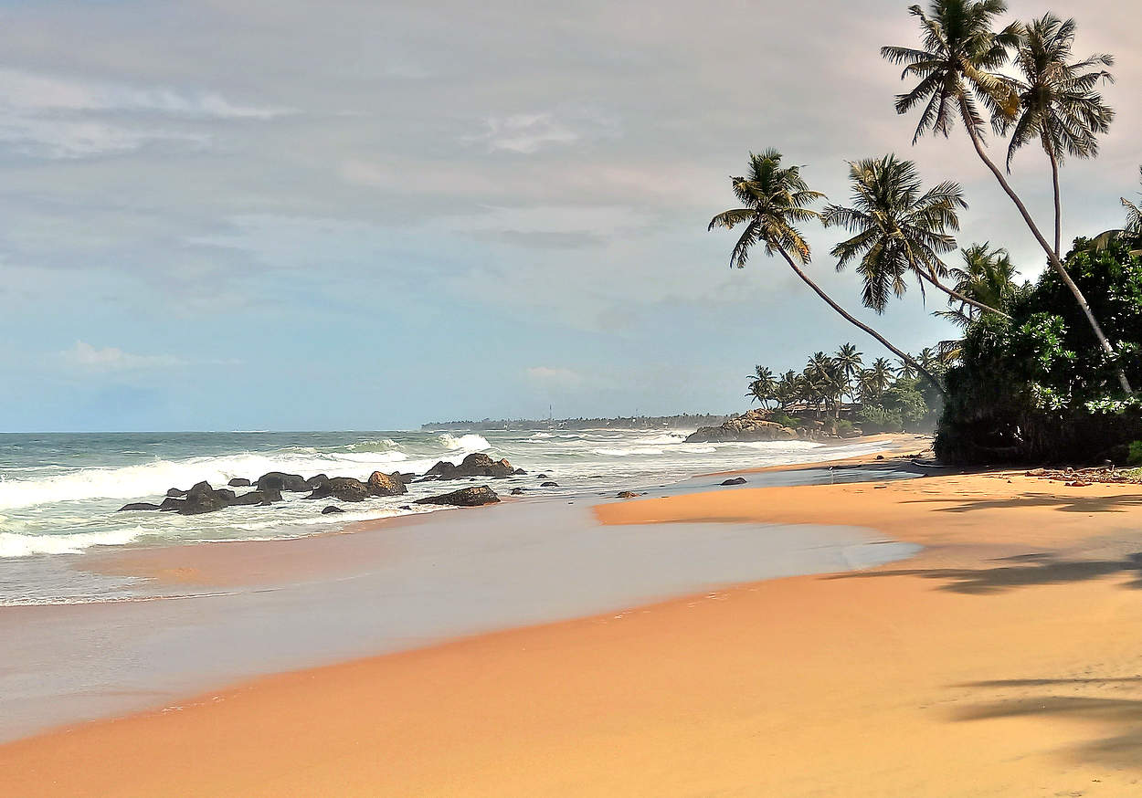 Море, песок и пальмы