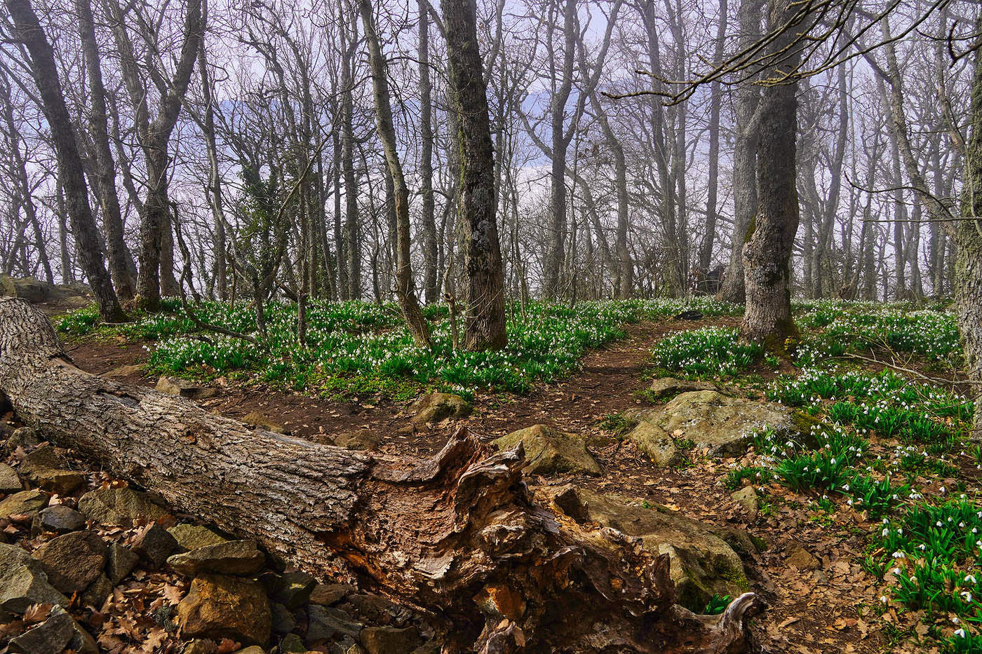 На вершине Аю-Дага