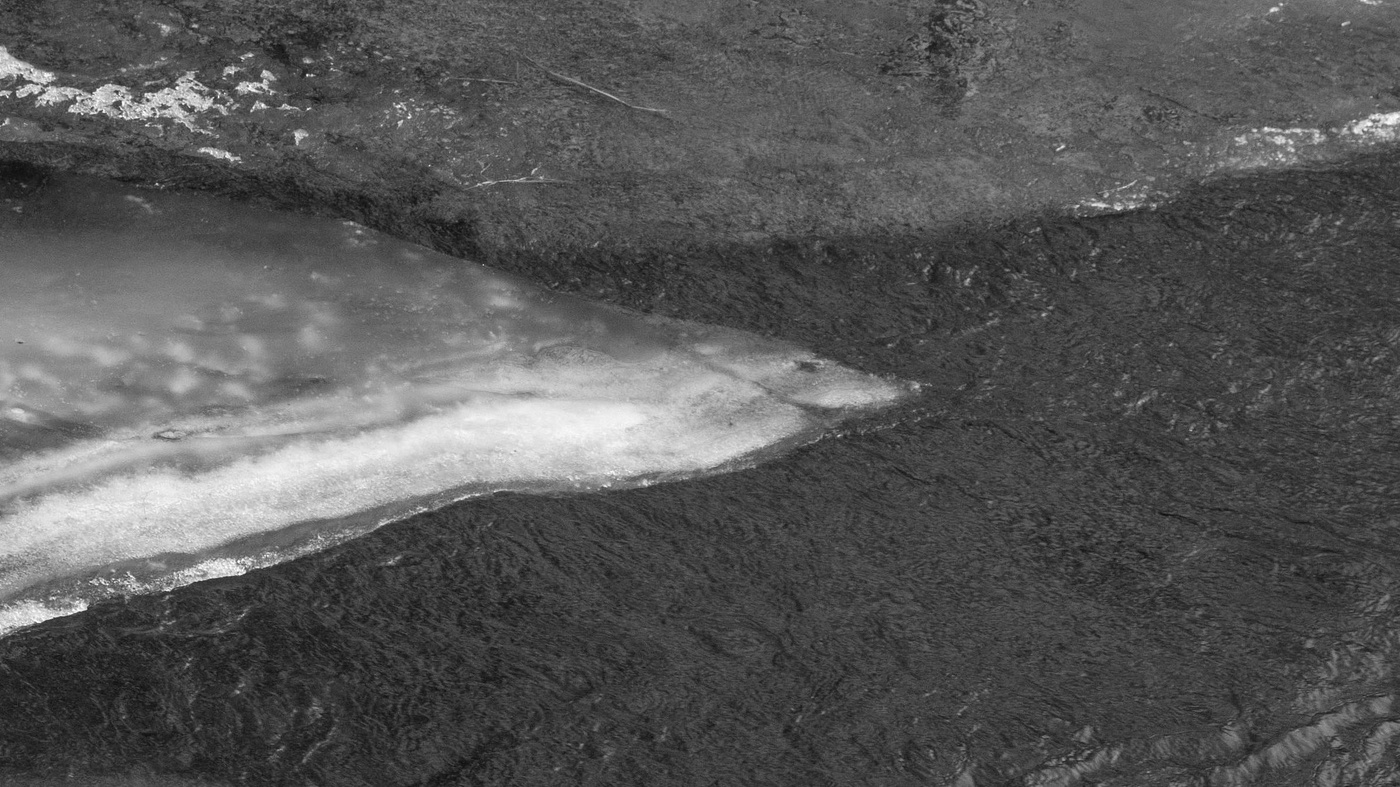 Жизнь вокруг