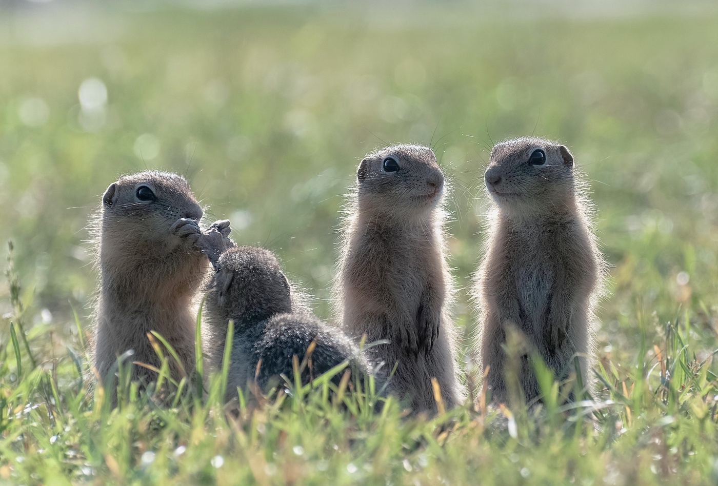 Дружная компания