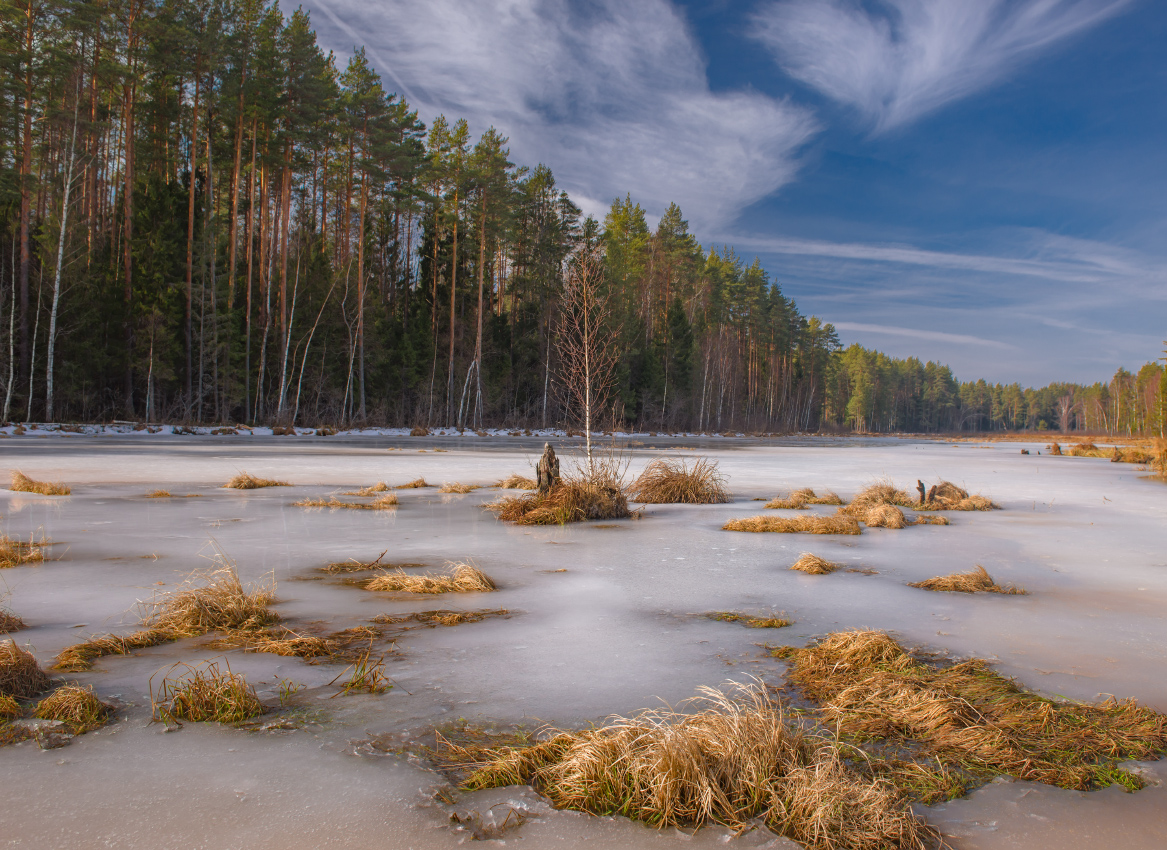 Март. Суходол.