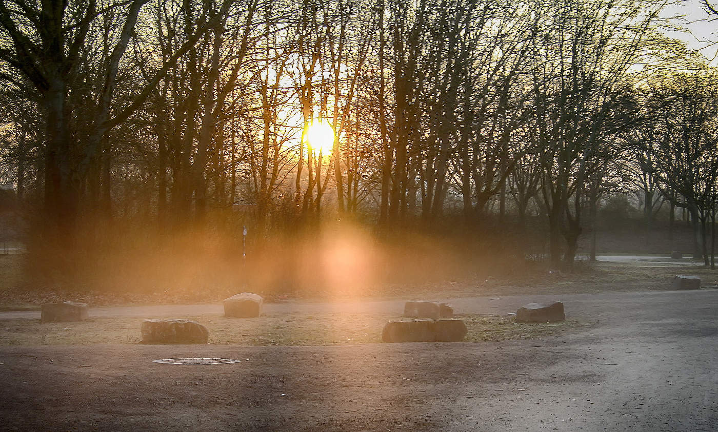 Утро в парке