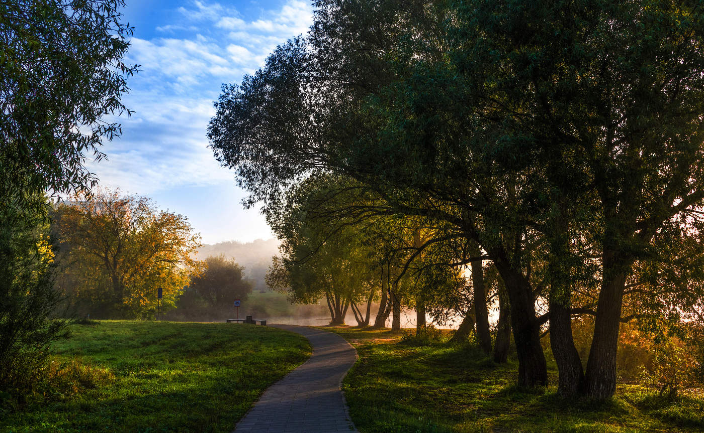 Утро в парке.