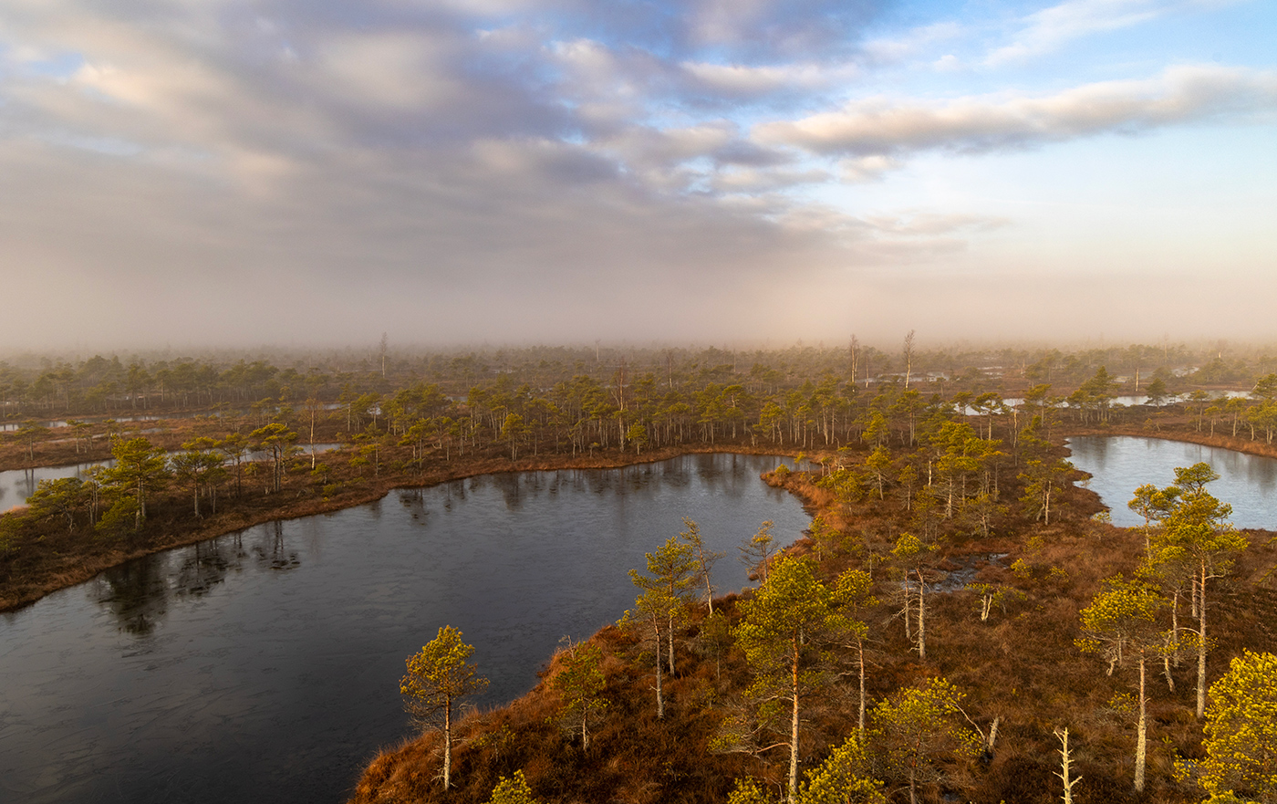 Переходное состояние