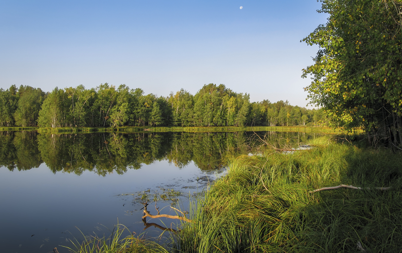 ... и чистота озер таежных...