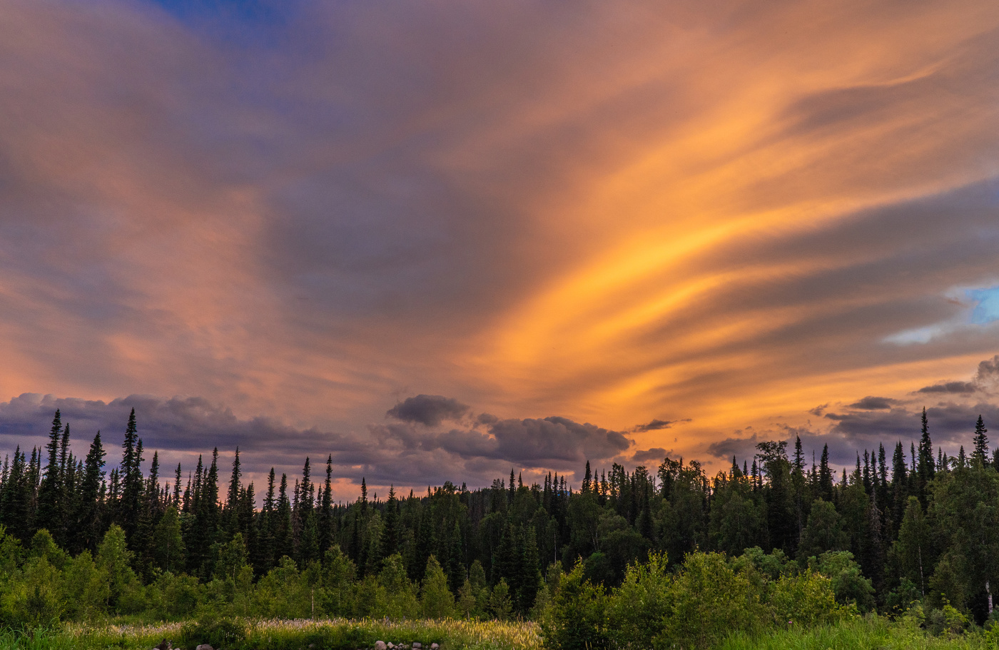 Поднебесные зубья