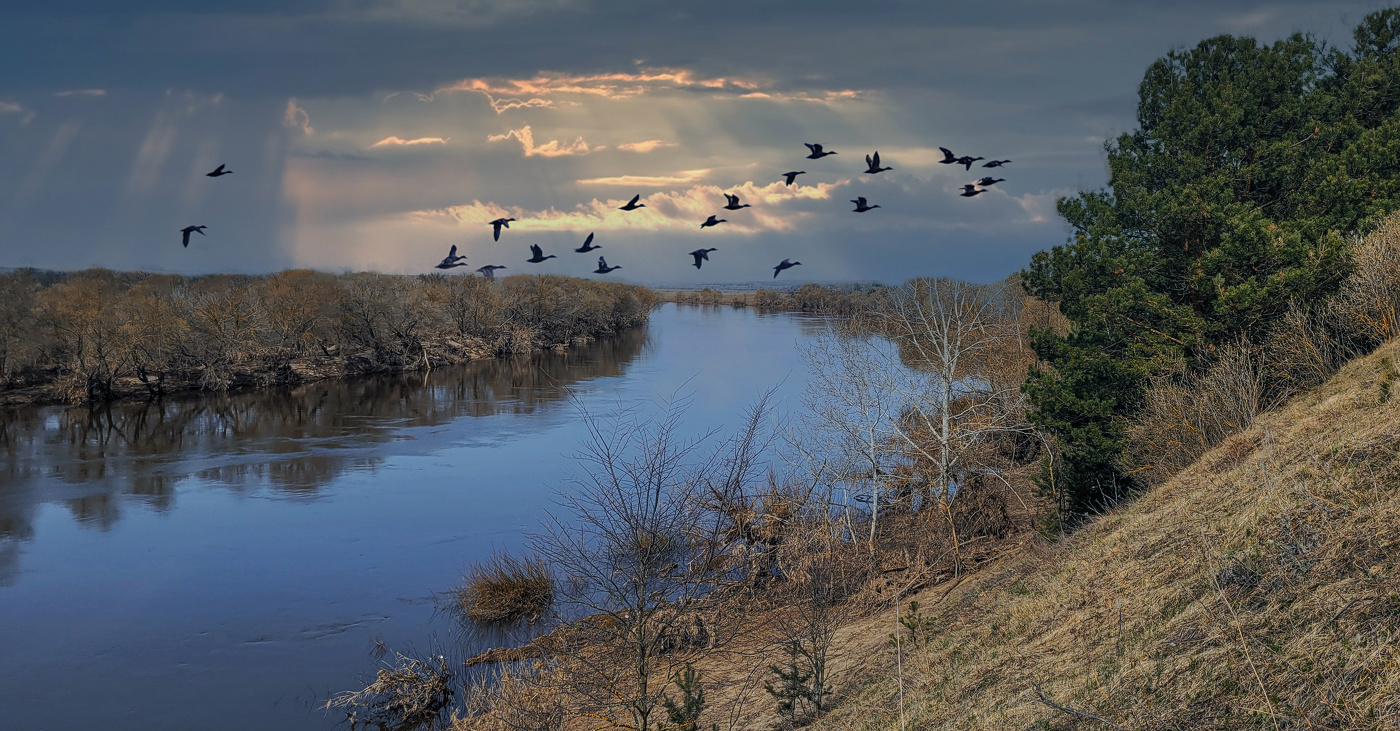 Вновь весною из полёта...