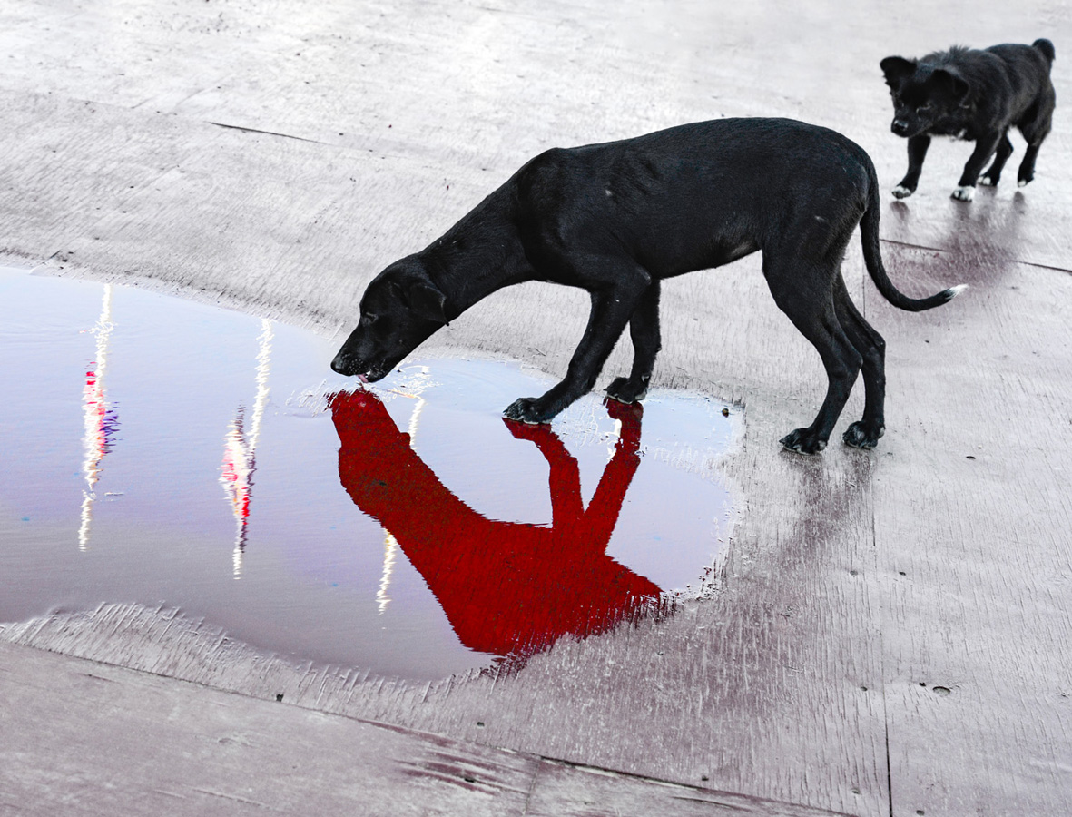 красное&чёрное