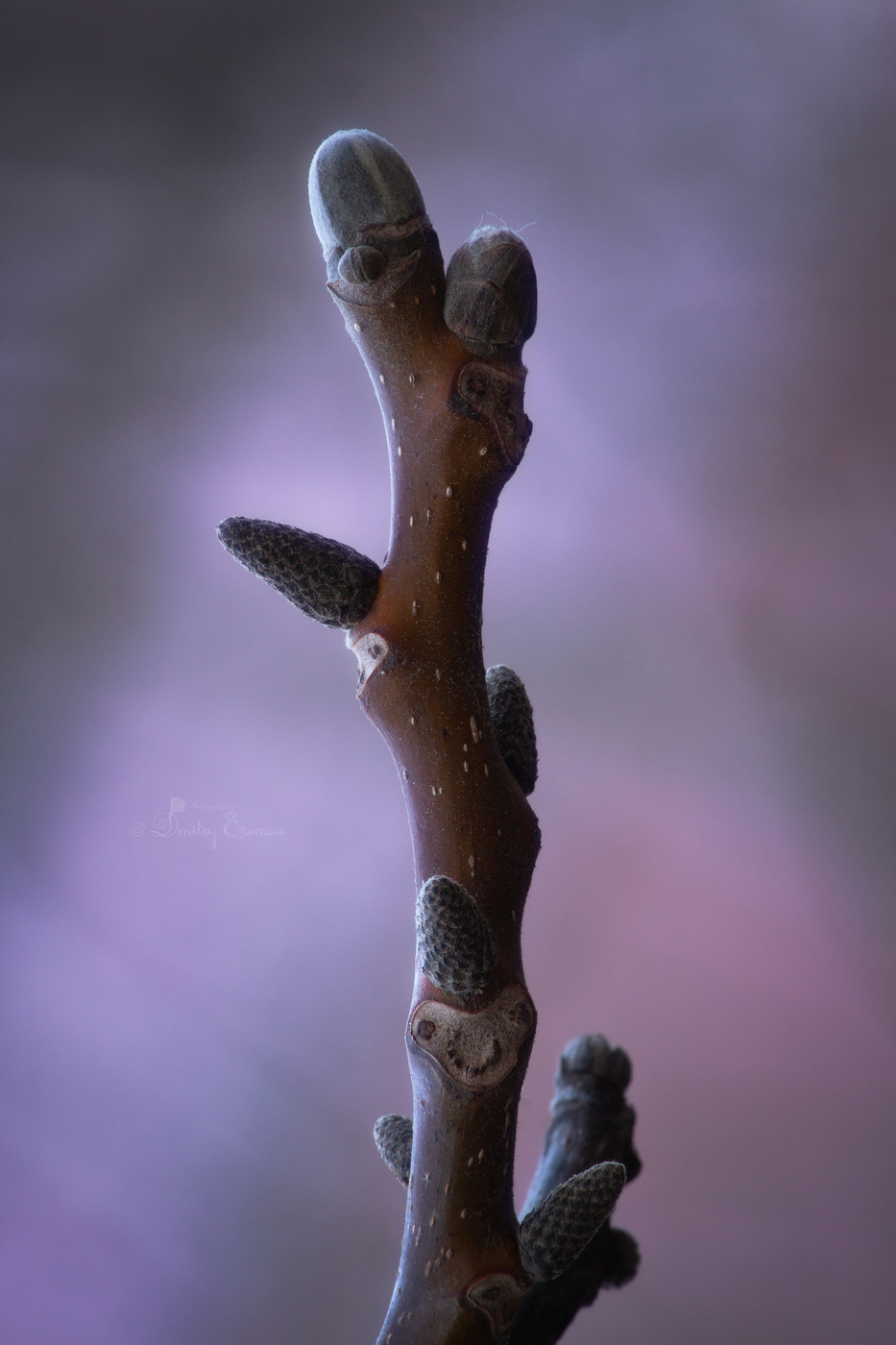 С каждым днём дыхание весны становится сильнее...