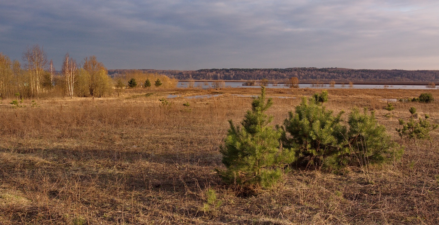 Вечерний пейзаж