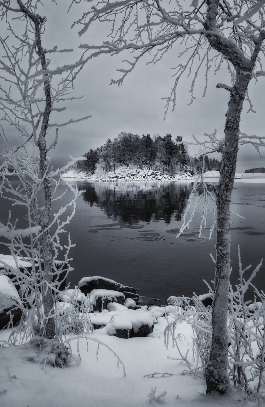 Остров в берёзовой рамке