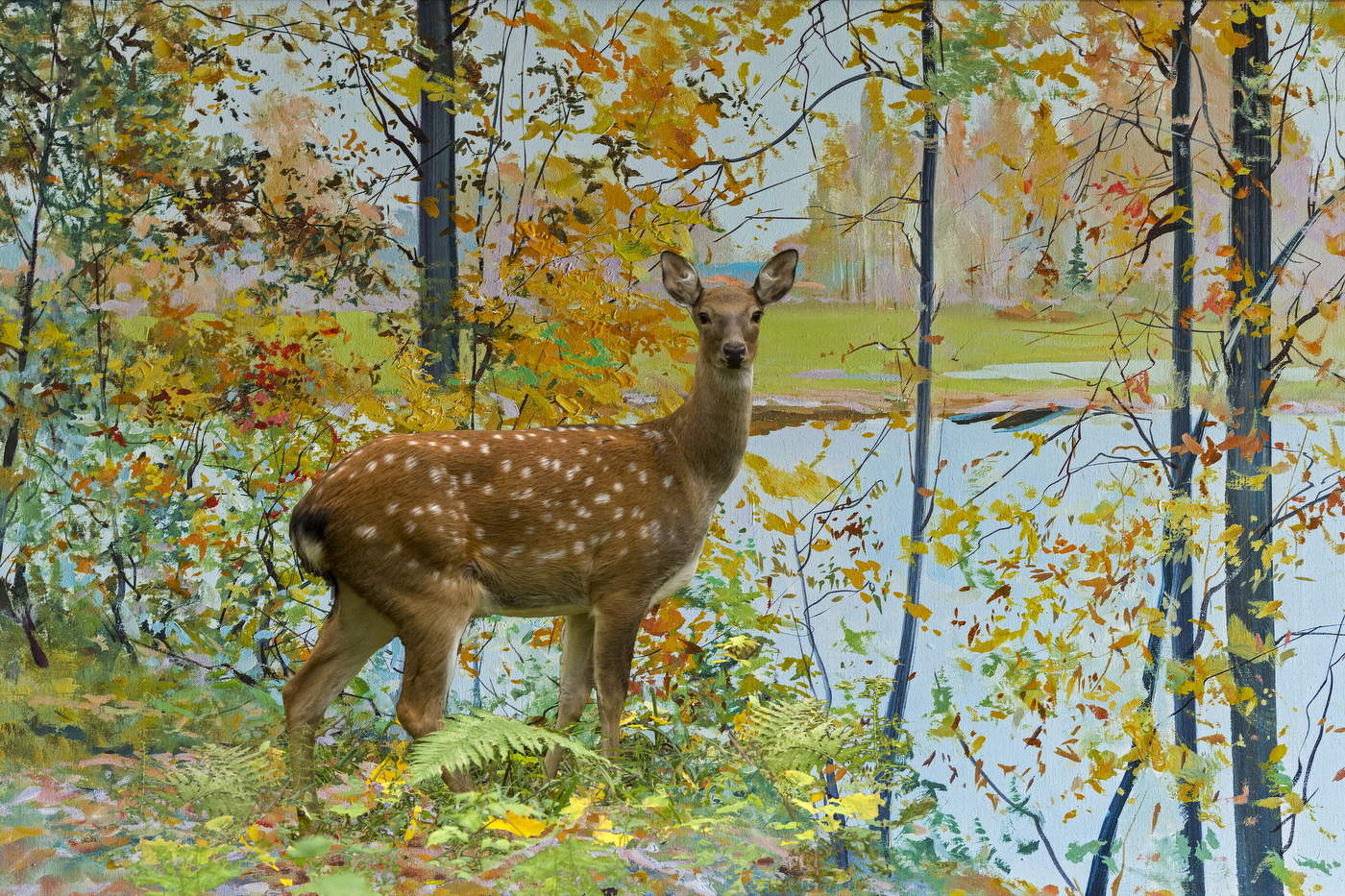 Два в одном