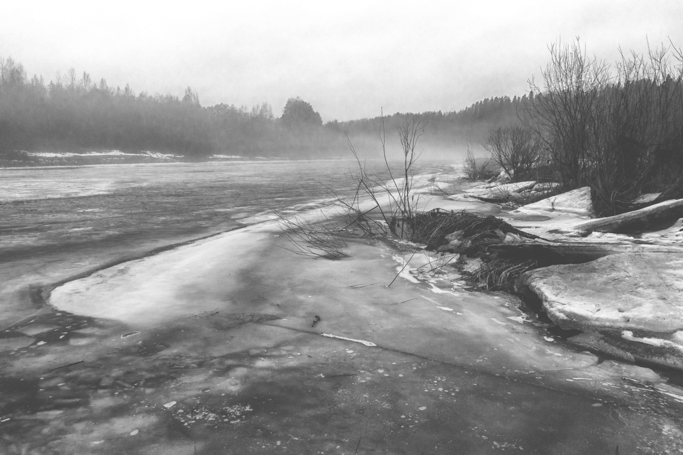 Жизнь вокруг