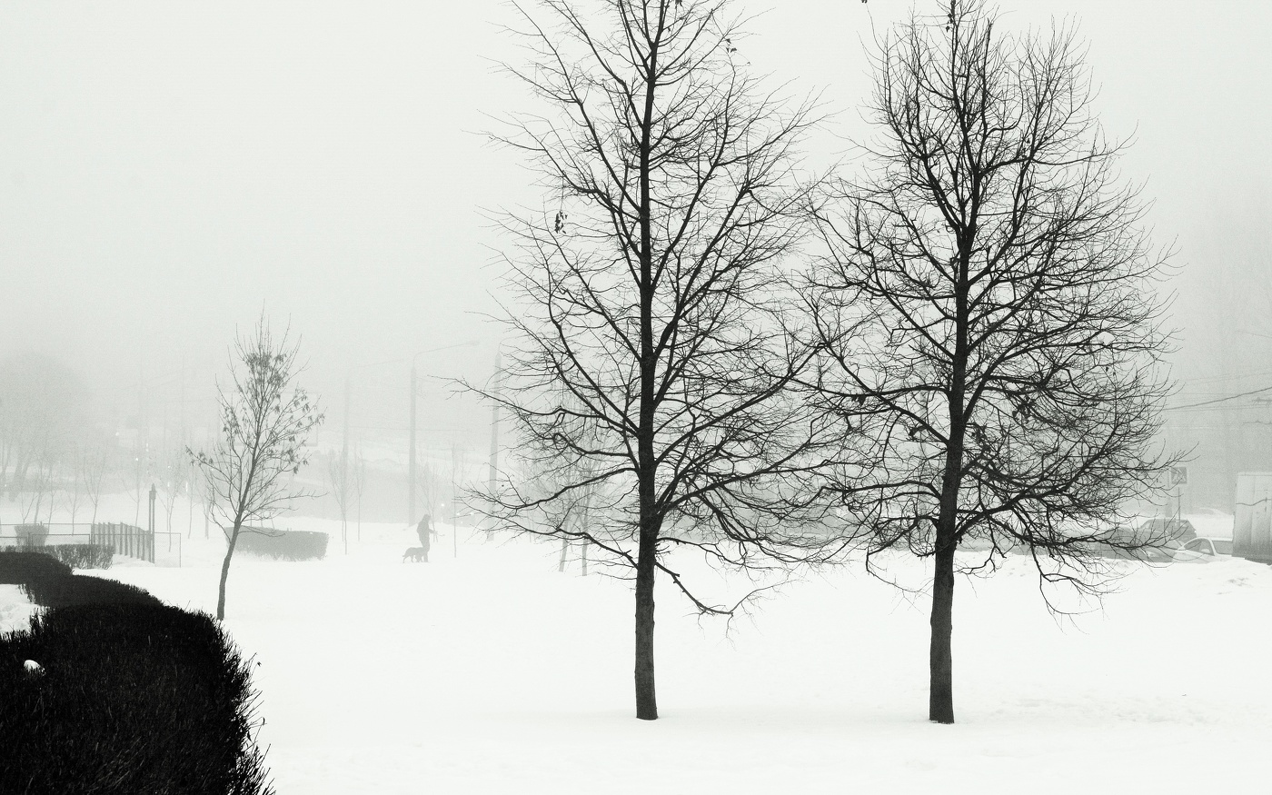 "Густой туман окутал город ..."