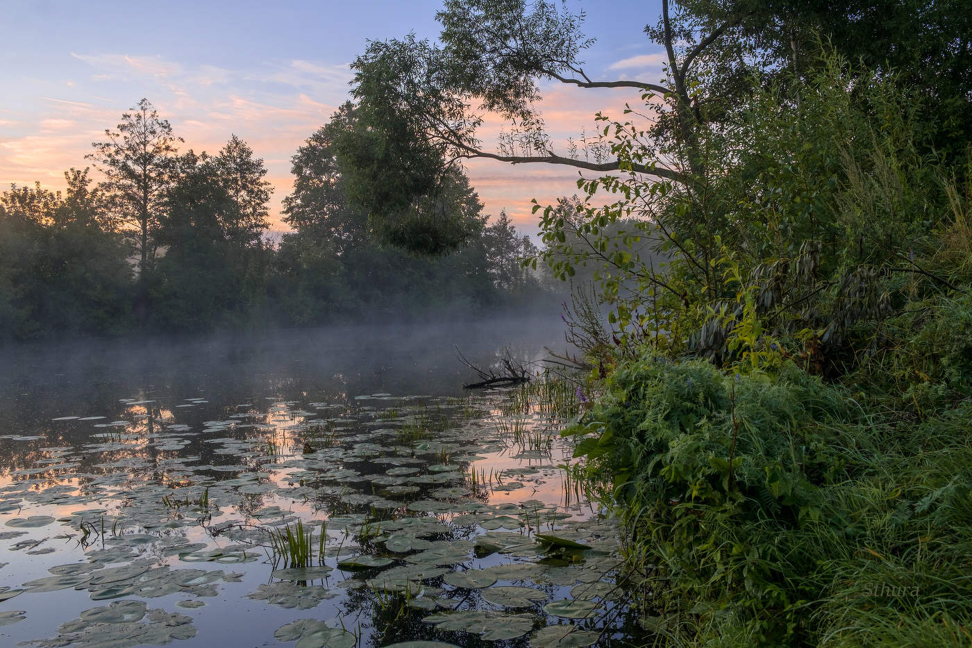 Плывёт туман.