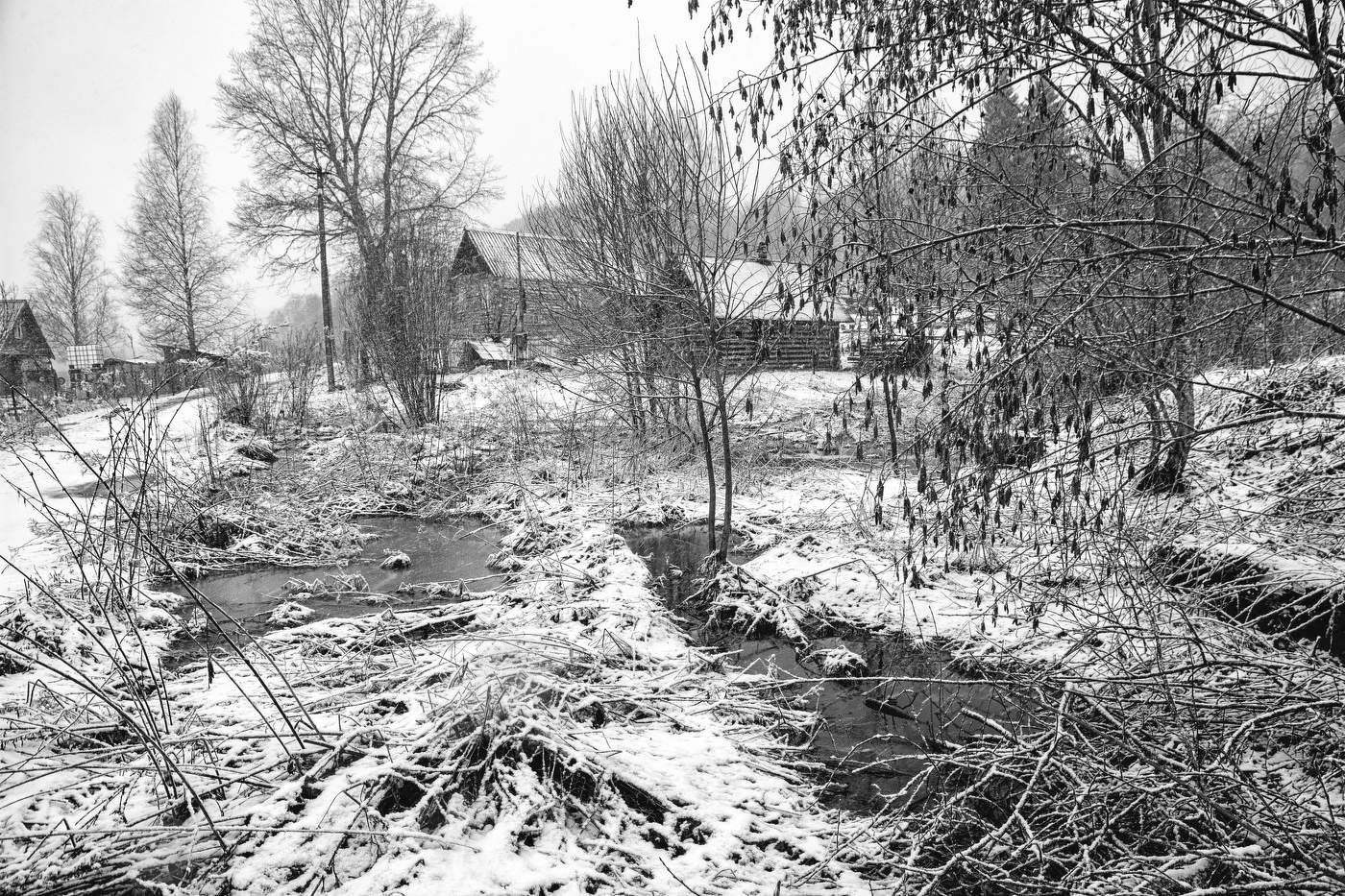 Жизнь вокруг