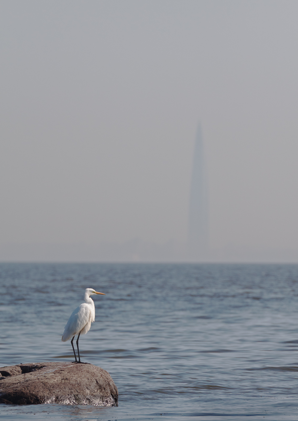 Маркизова лужа 9