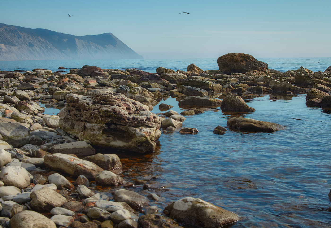 В дымке дня