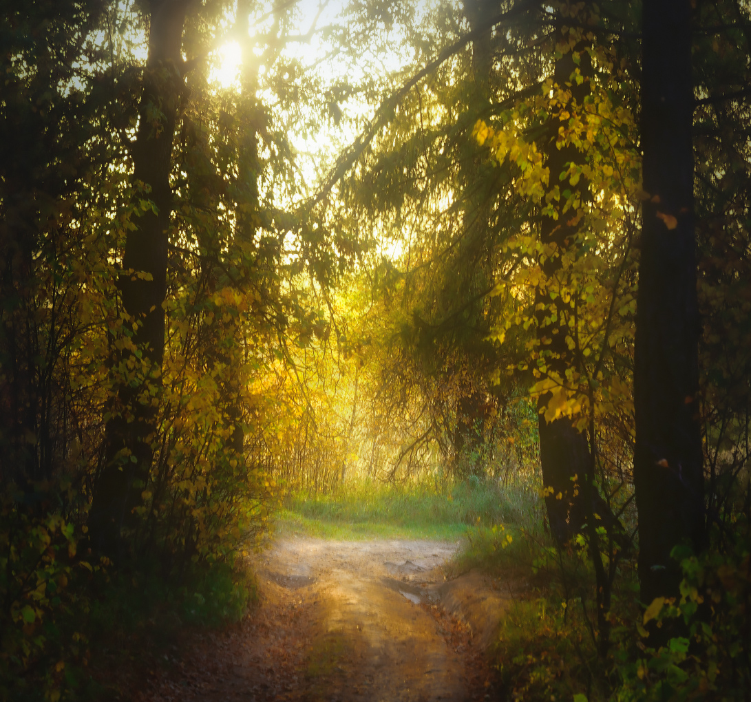 Осенняя дорожка