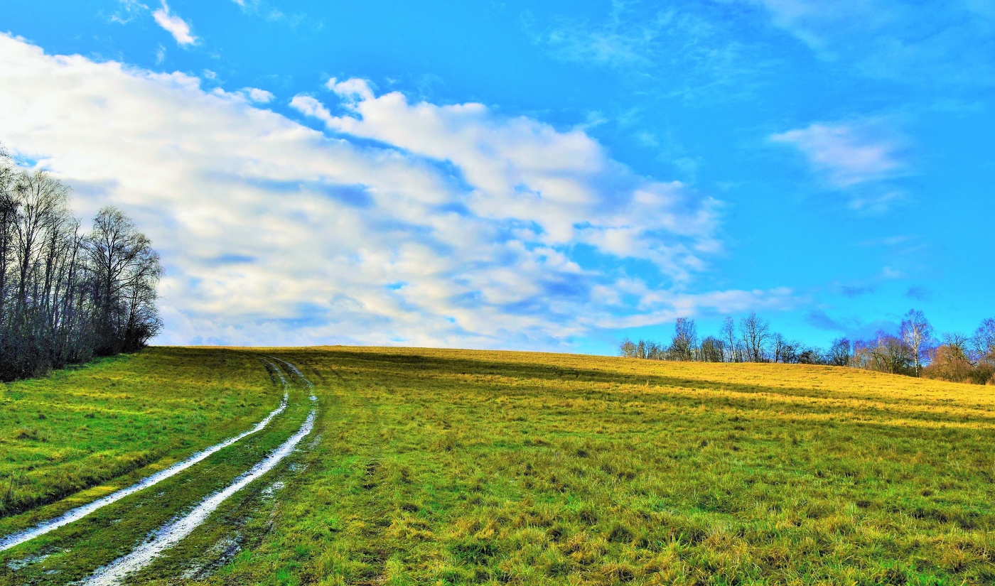 В начальных числах ноября ...