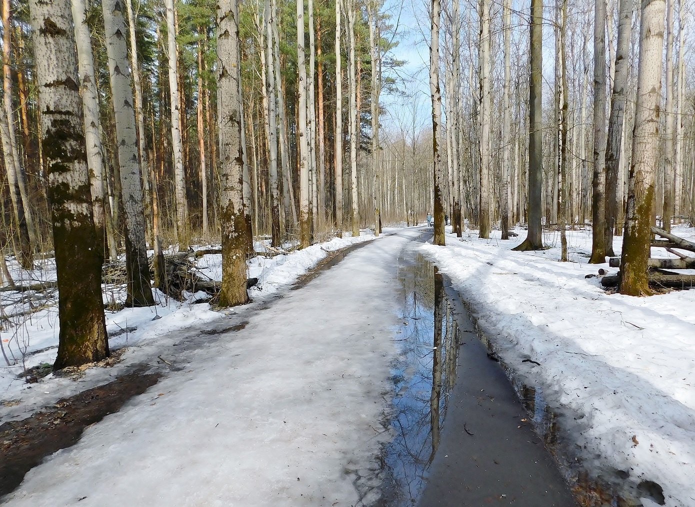 Апрельский день