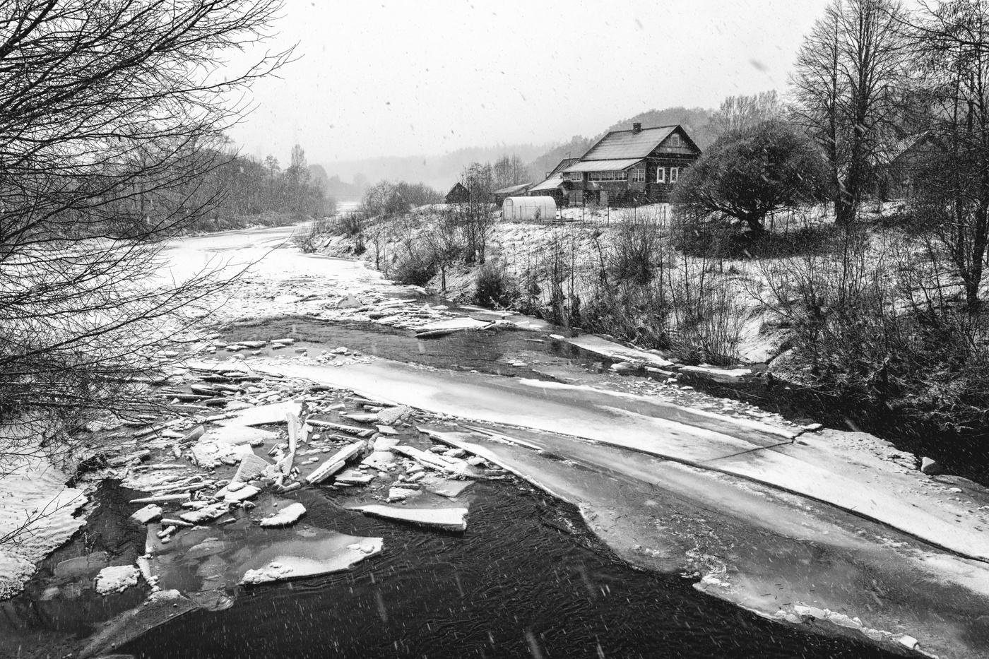 Жизнь вокруг