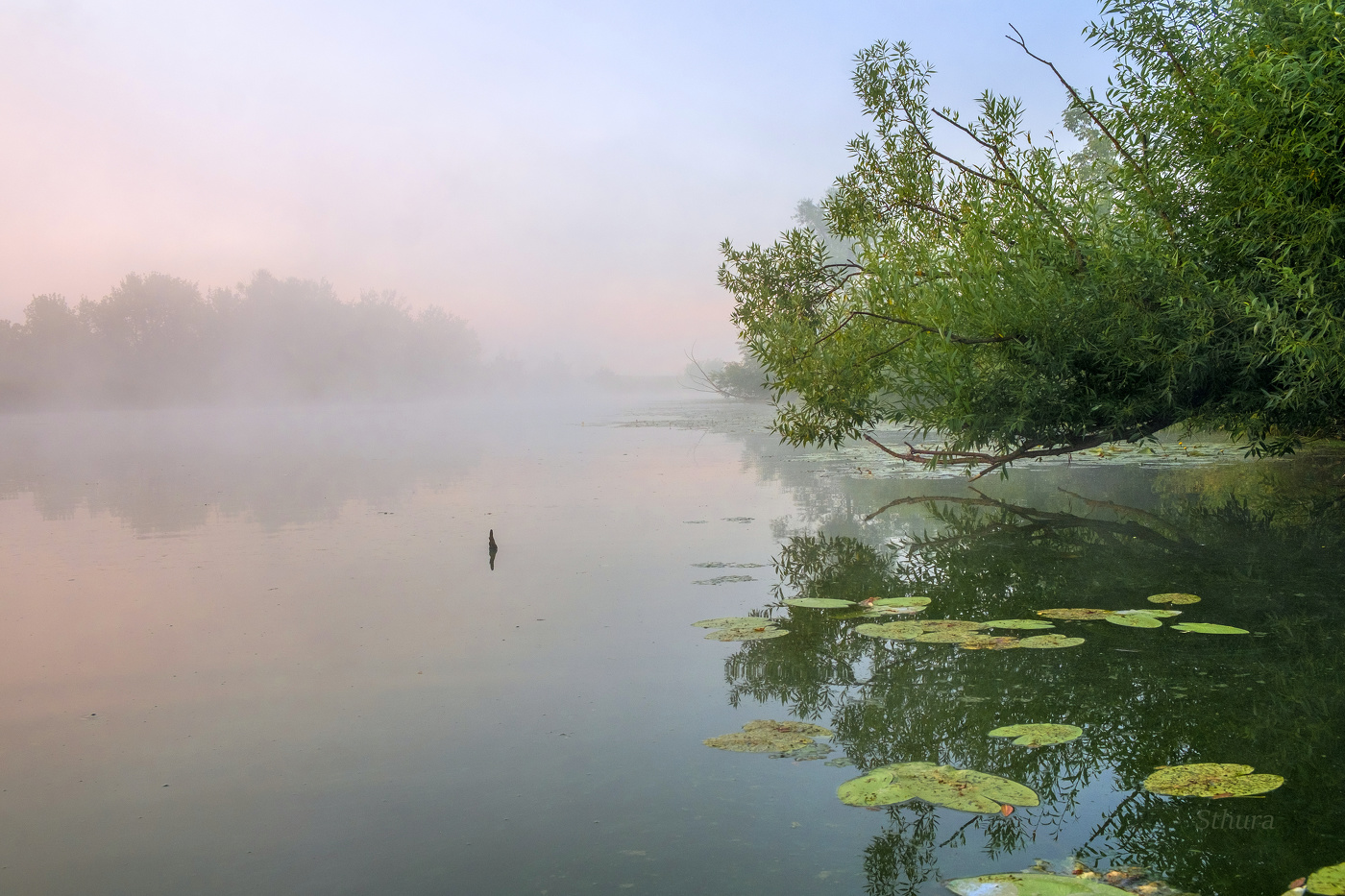 Летнее утро на озере.