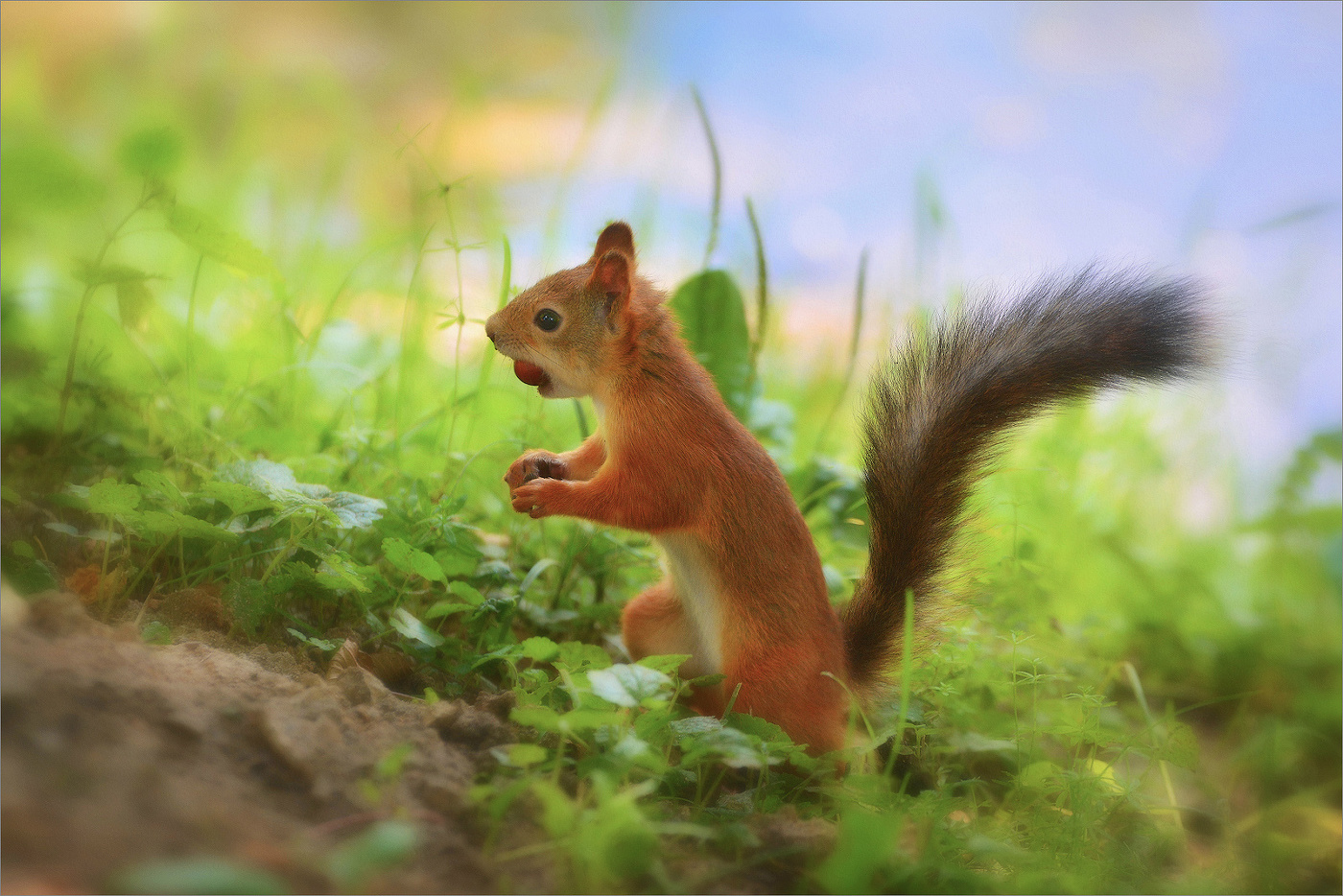 На заготовках.