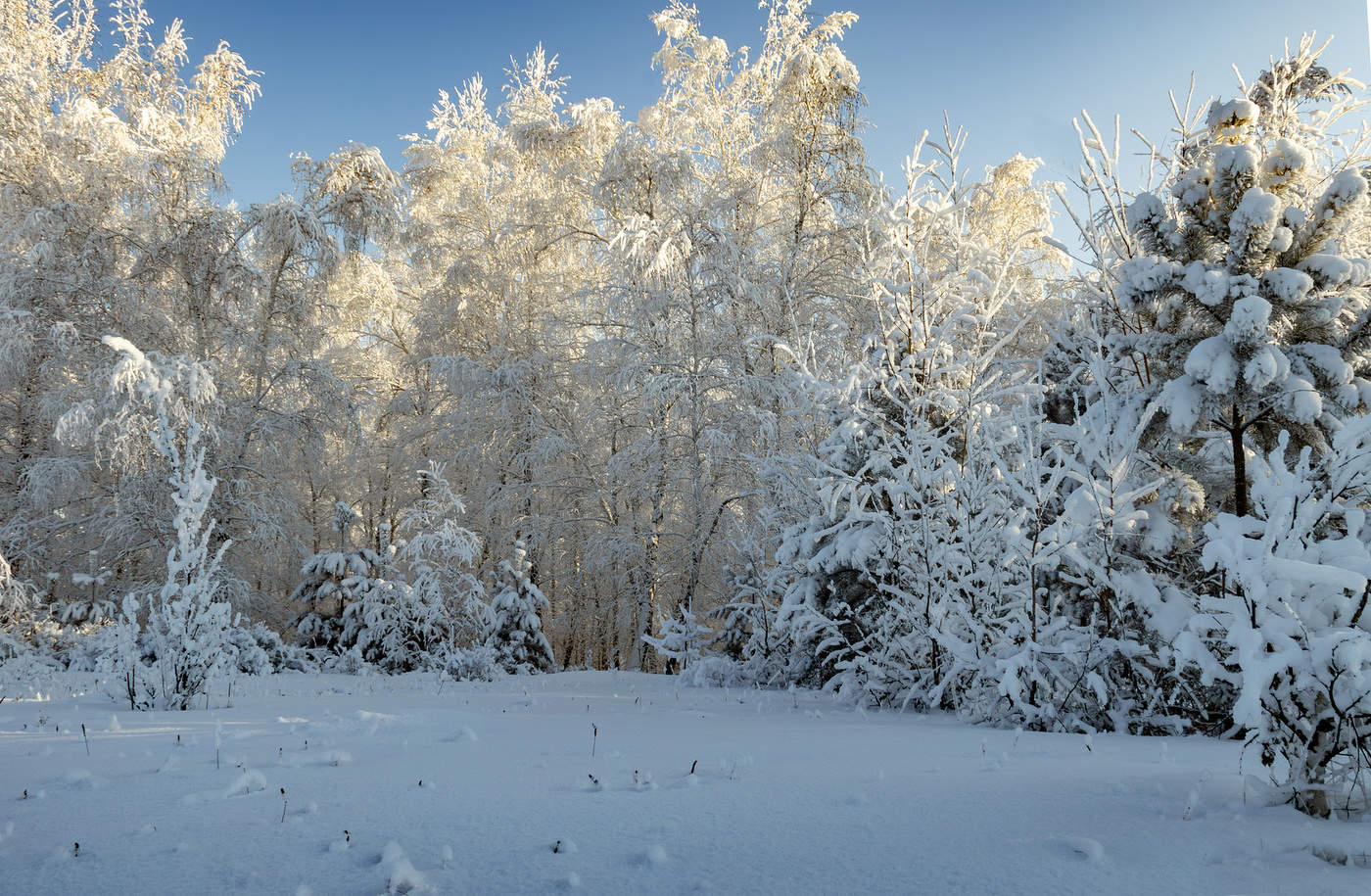 Прощай зима