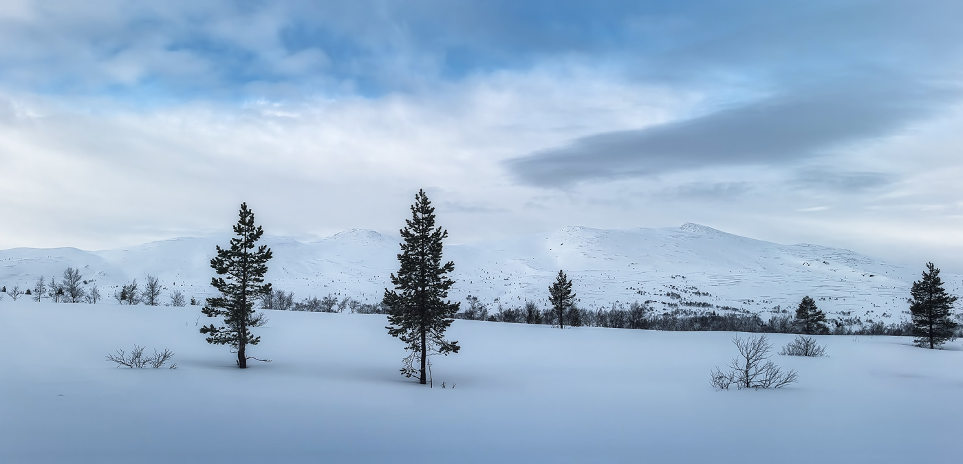 Веже-Тундра