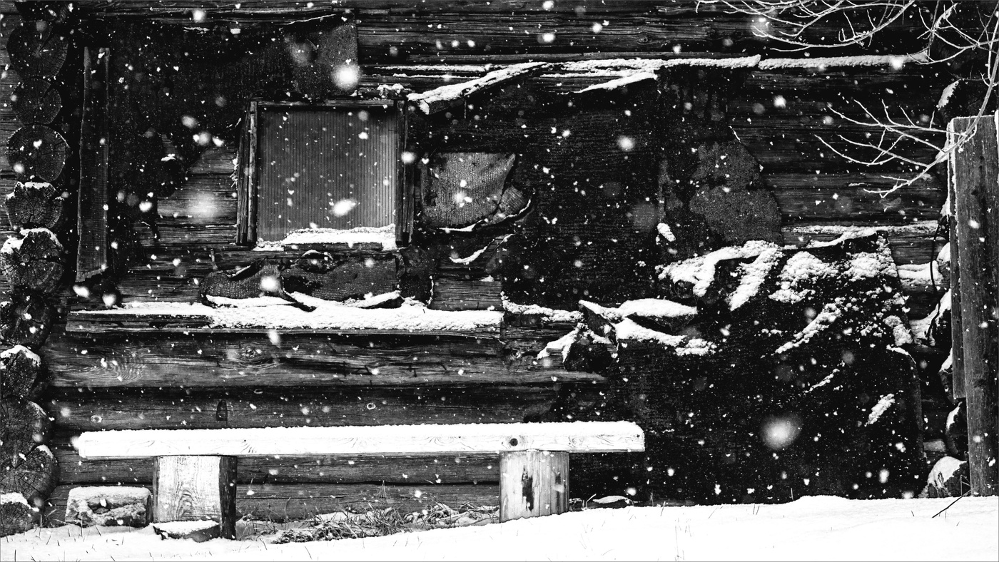 Жизнь вокруг