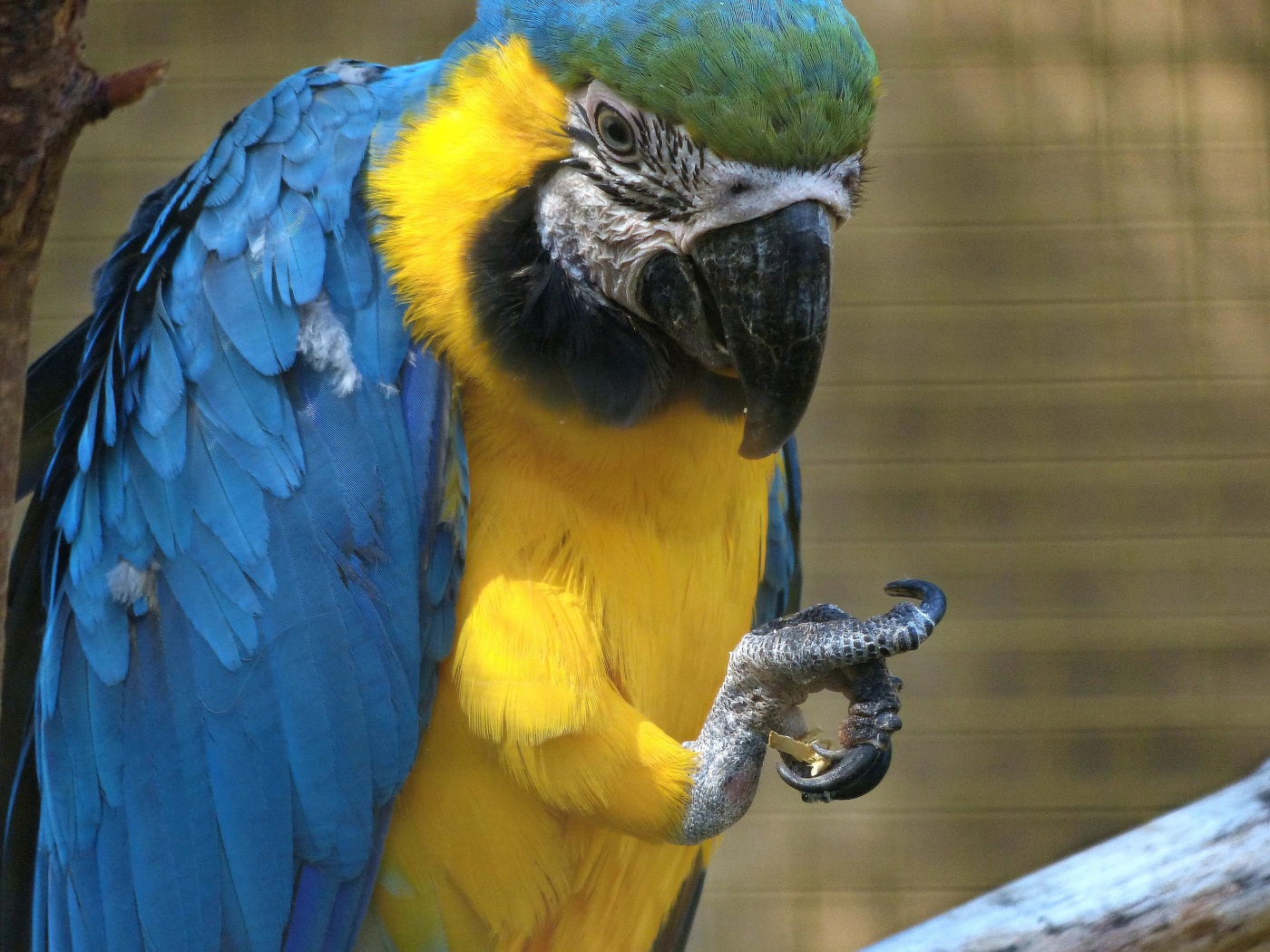 Вот что я скажу...