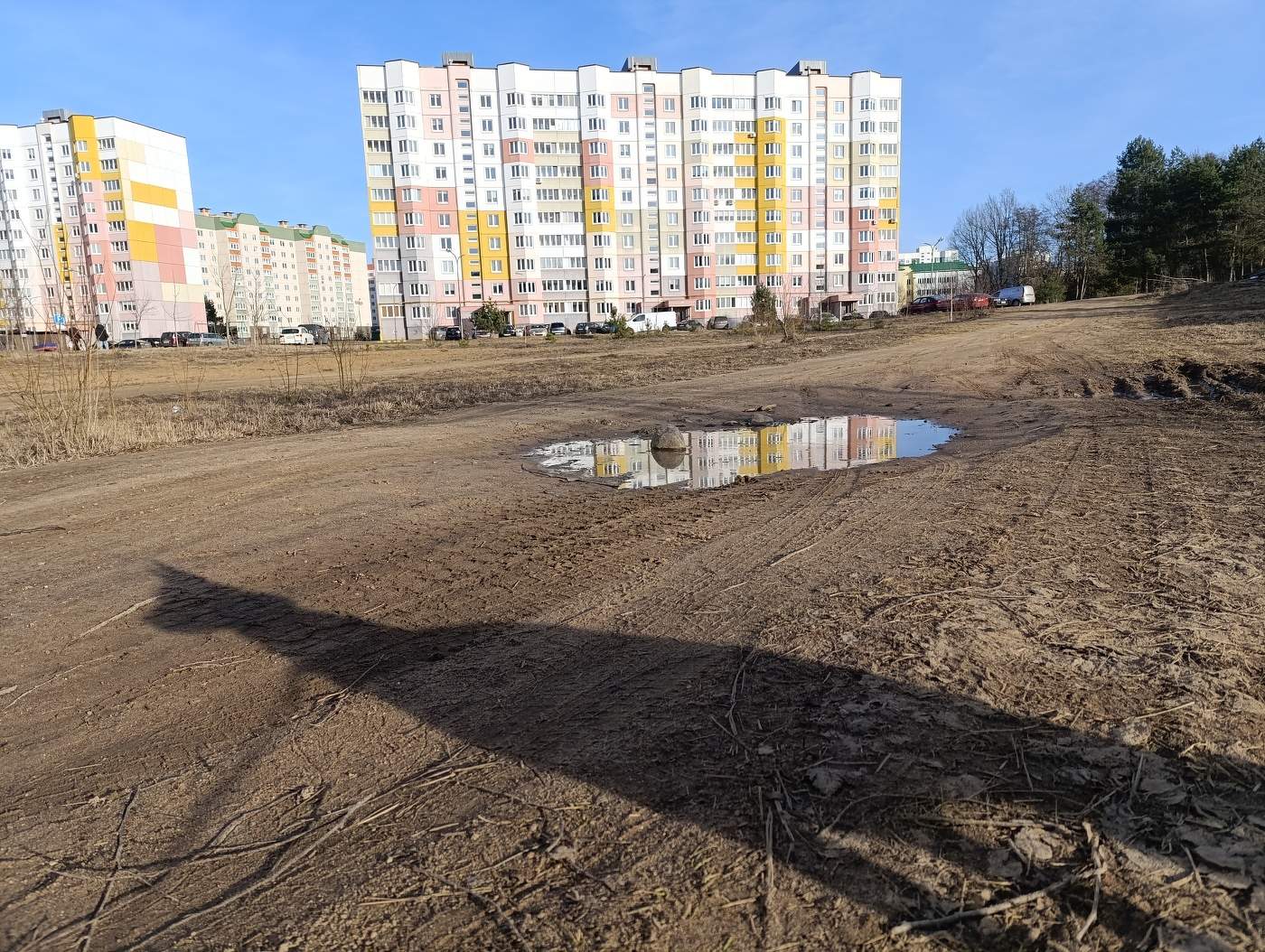 Тень дождевого червя