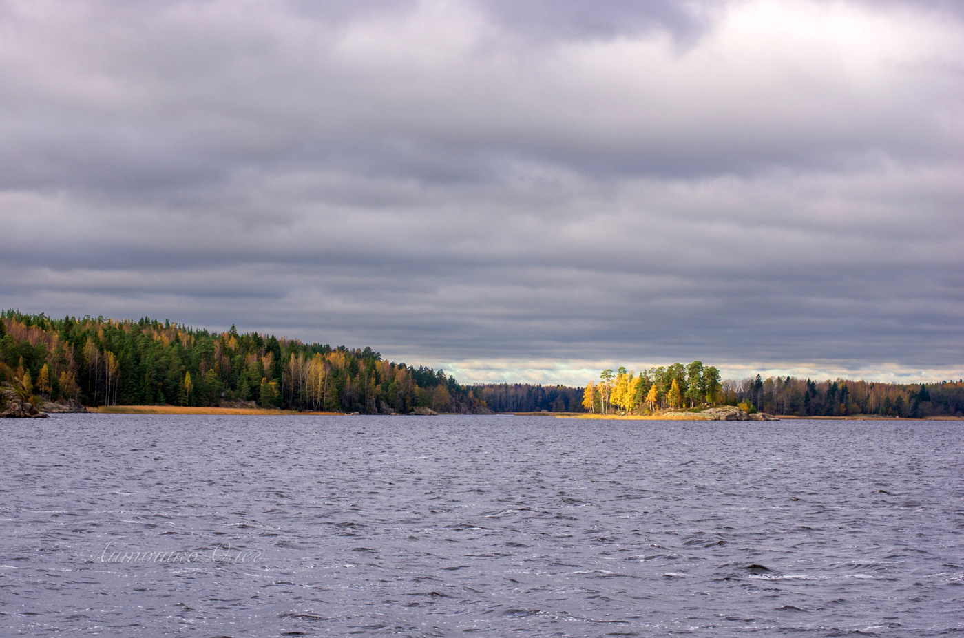 Парк Монрепо.