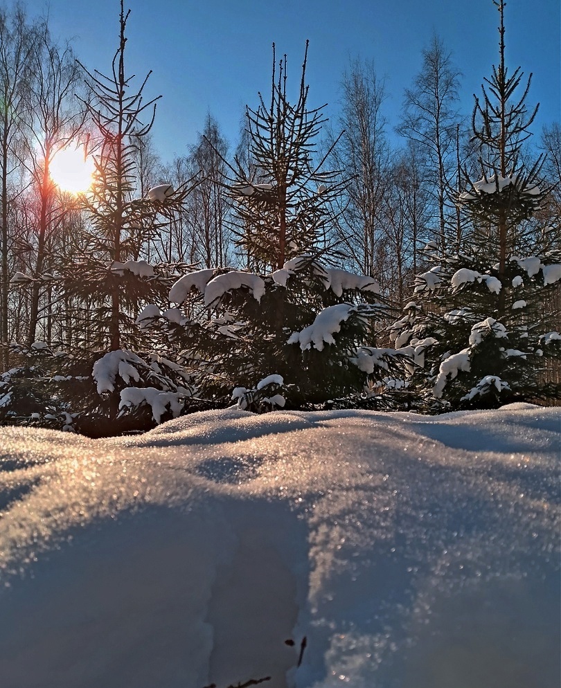 Снежный коврик