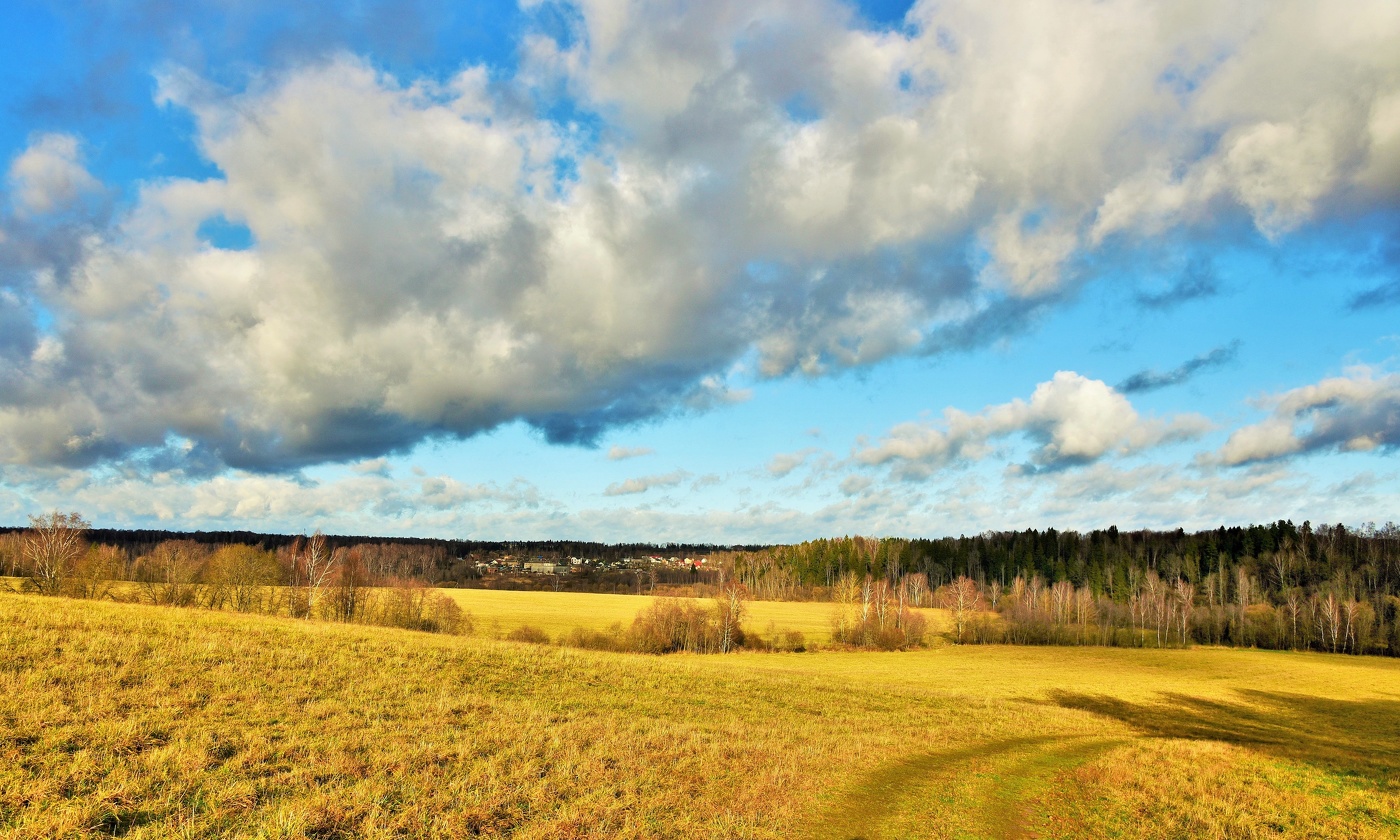 "Медлительной чредой нисходит день осенний ..."